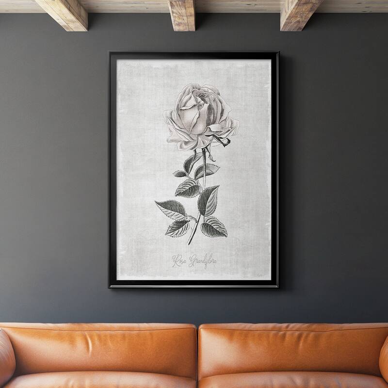 Vintage Botanical II Premium Framed Print - Ready to Hang