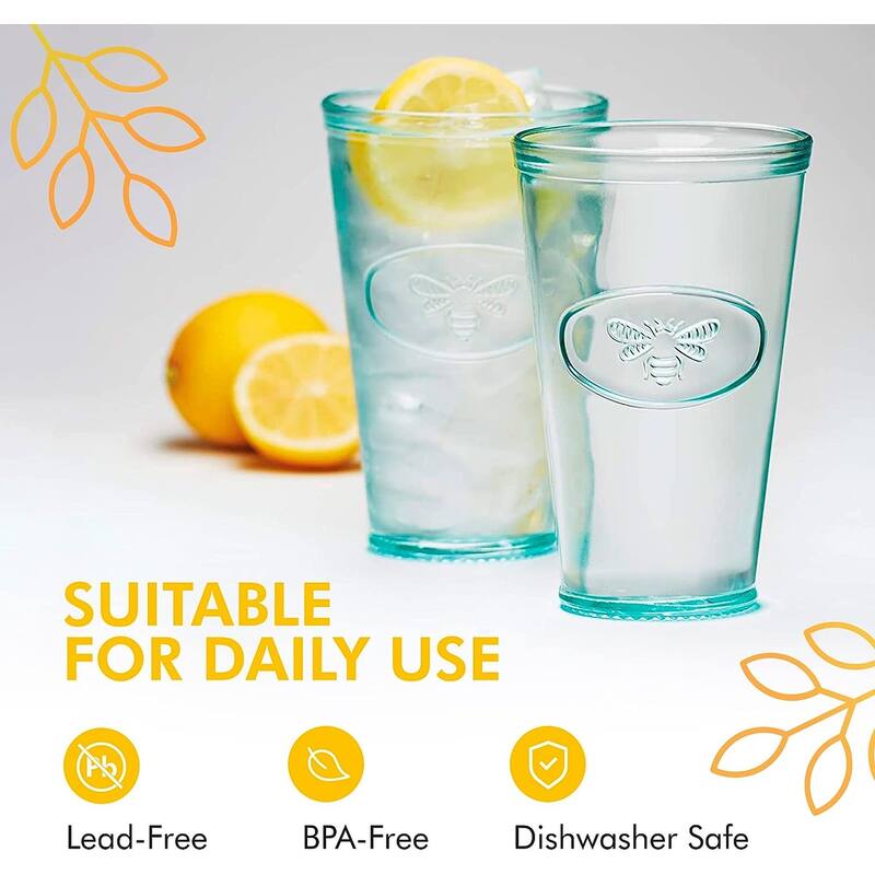 Amici Home Set of 6 Bee Relief Hiball Drinking Glasses - 16 Ounces