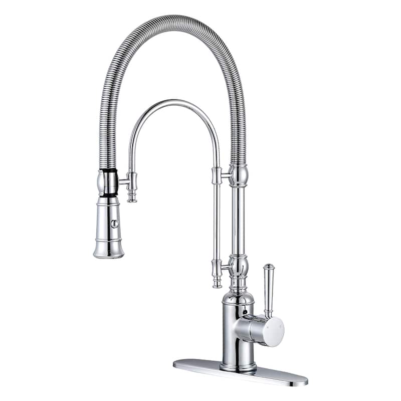 WOWOW Single Handle Gooseneck Pull Down Sprayer Kitchen Faucet - Without Soap Dispenser - Chrome/Clear