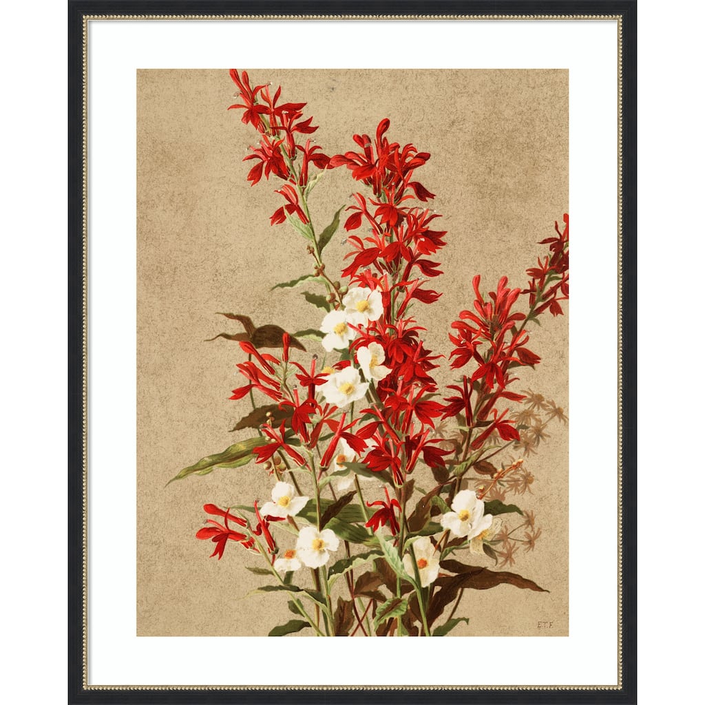 Cardinal Flowers by Ellen Thayer Fisher Wood Framed Wall Art Print