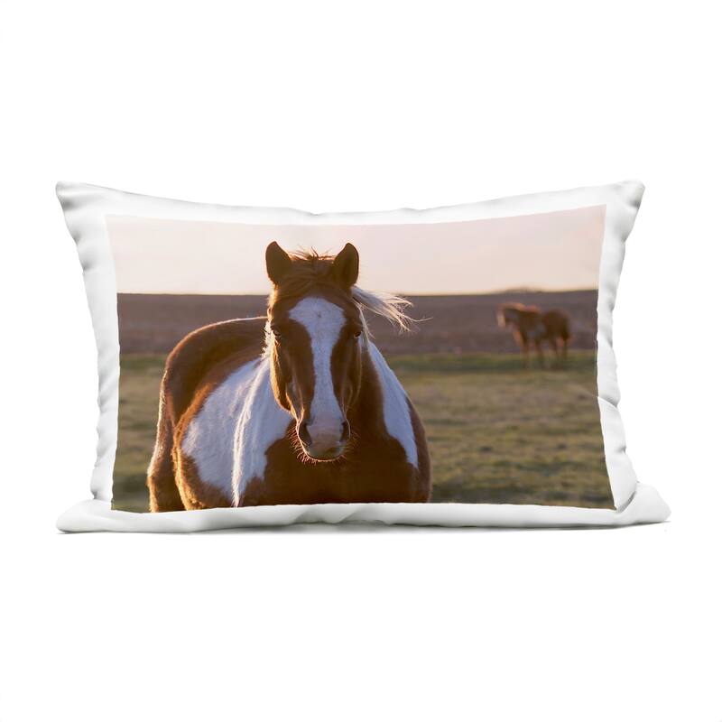 Stupell Spotted Horse in Rural Countryside Printed Outdoor Throw Pillow Design by Steve Toole - Accent - Polyester - Brown - Single
