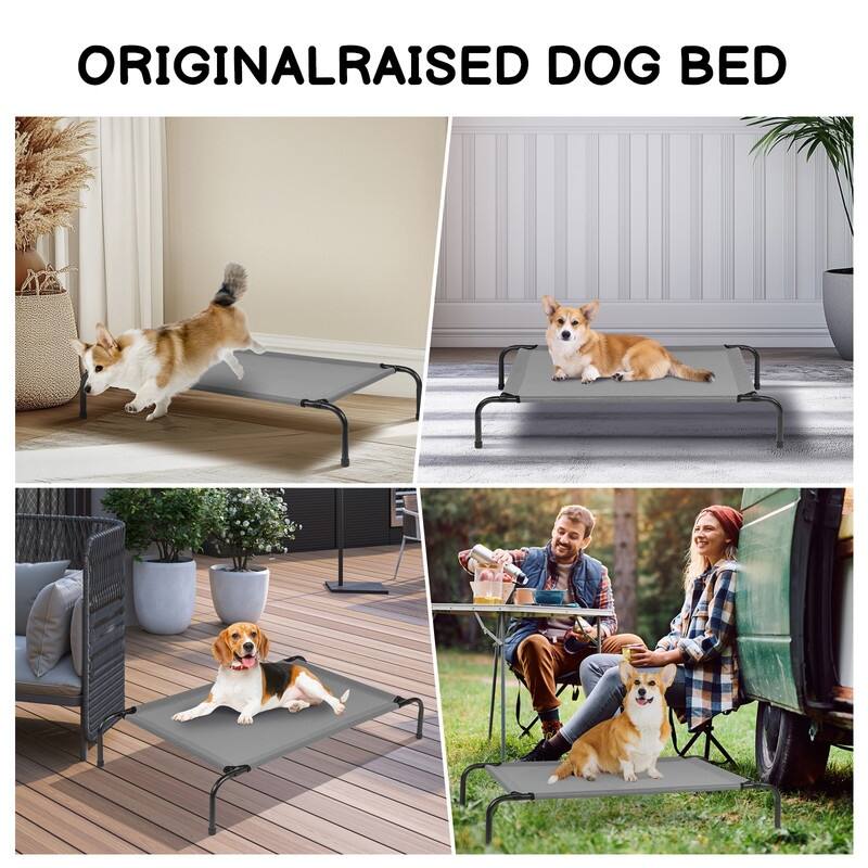 43 in. x 26 in. Iron Frame Mesh Top Outdoor Dog Cot - 43 in. x 16 in. x 8 in.
