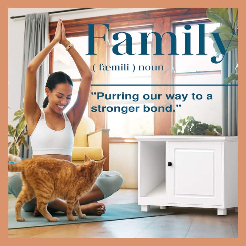 Roomfitters Cat Litter Box Enclosure, Hidden Cat Litter Box Furniture