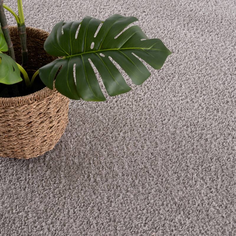 Judy Area Rug