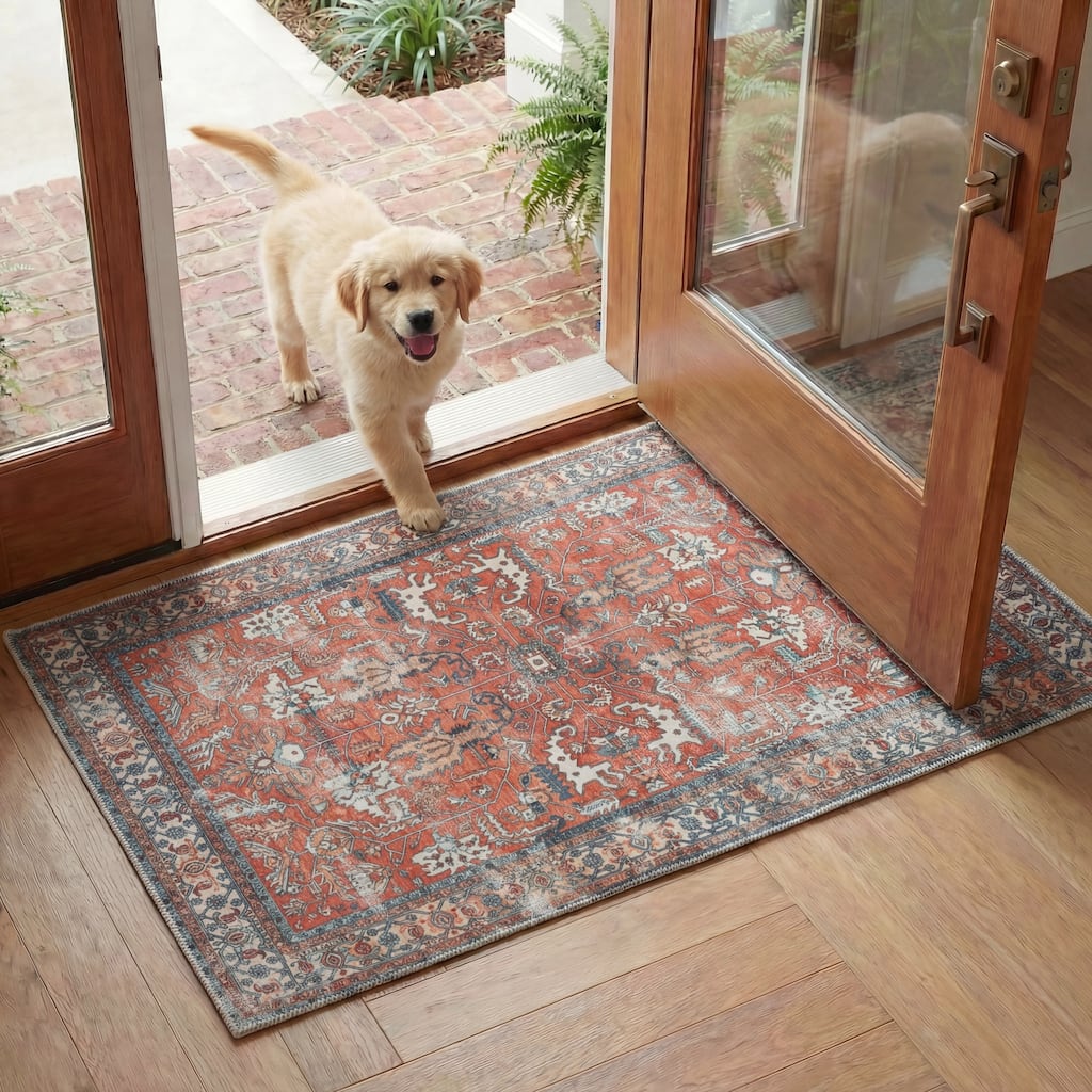 SAFAVIEH Arizona Pamfilica Vintage Machine Washable Rug