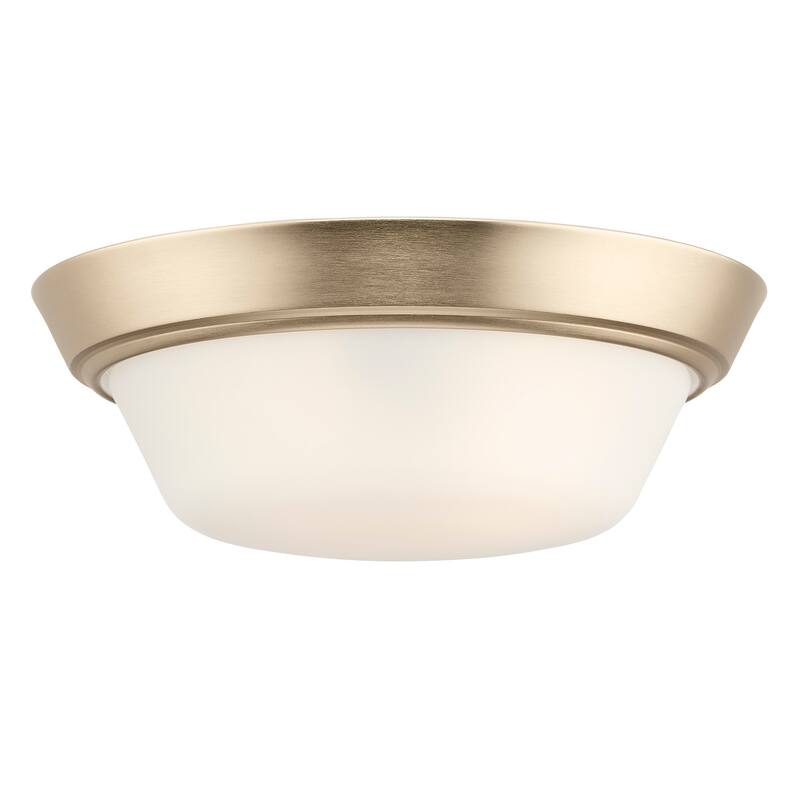 Progress Lighting P350303 Edessa 2 Light 13" Wide Flush Mount Bowl