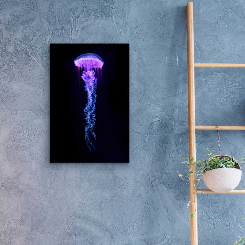 Epic Art 'Medusa,' Acrylic Glass Wall Art