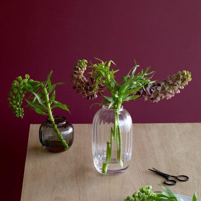 Holmegaard Primula Vase, Clear - 10"