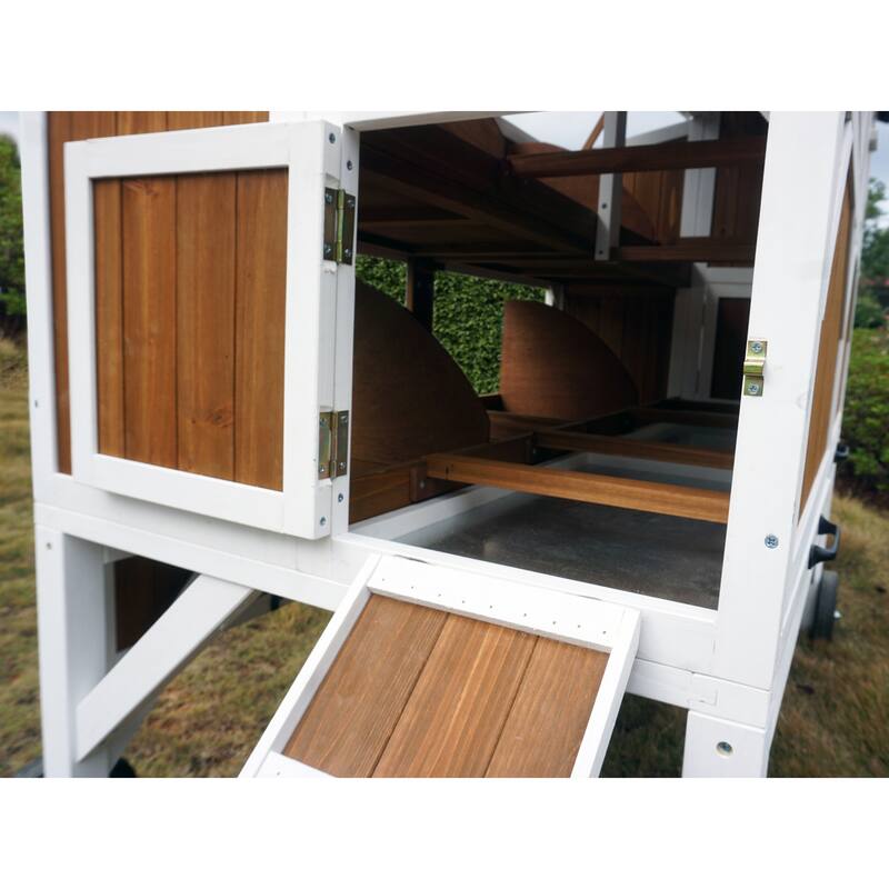 Free Range Chicken Coop