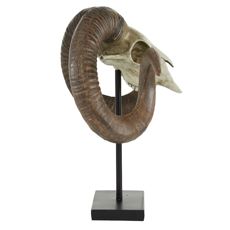 Brown Polystone Skull Ram Decorative Sculpture