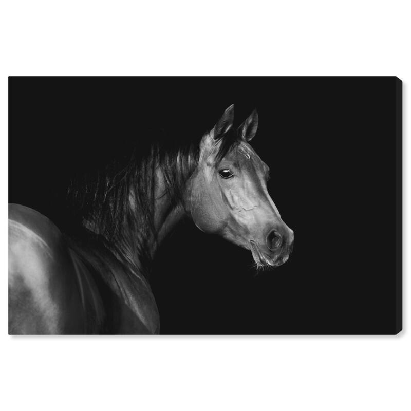 Wynwood Studio Canvas Animals Tender Look Black and Modern & Contemporary Wall Art Canvas Print