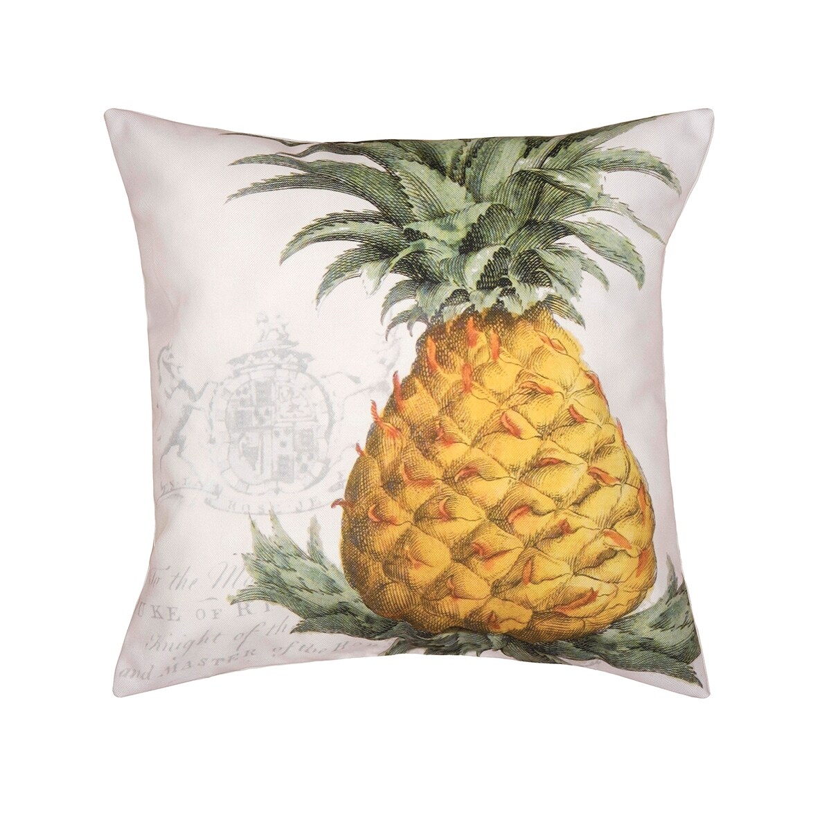 pineapple decorative pillow