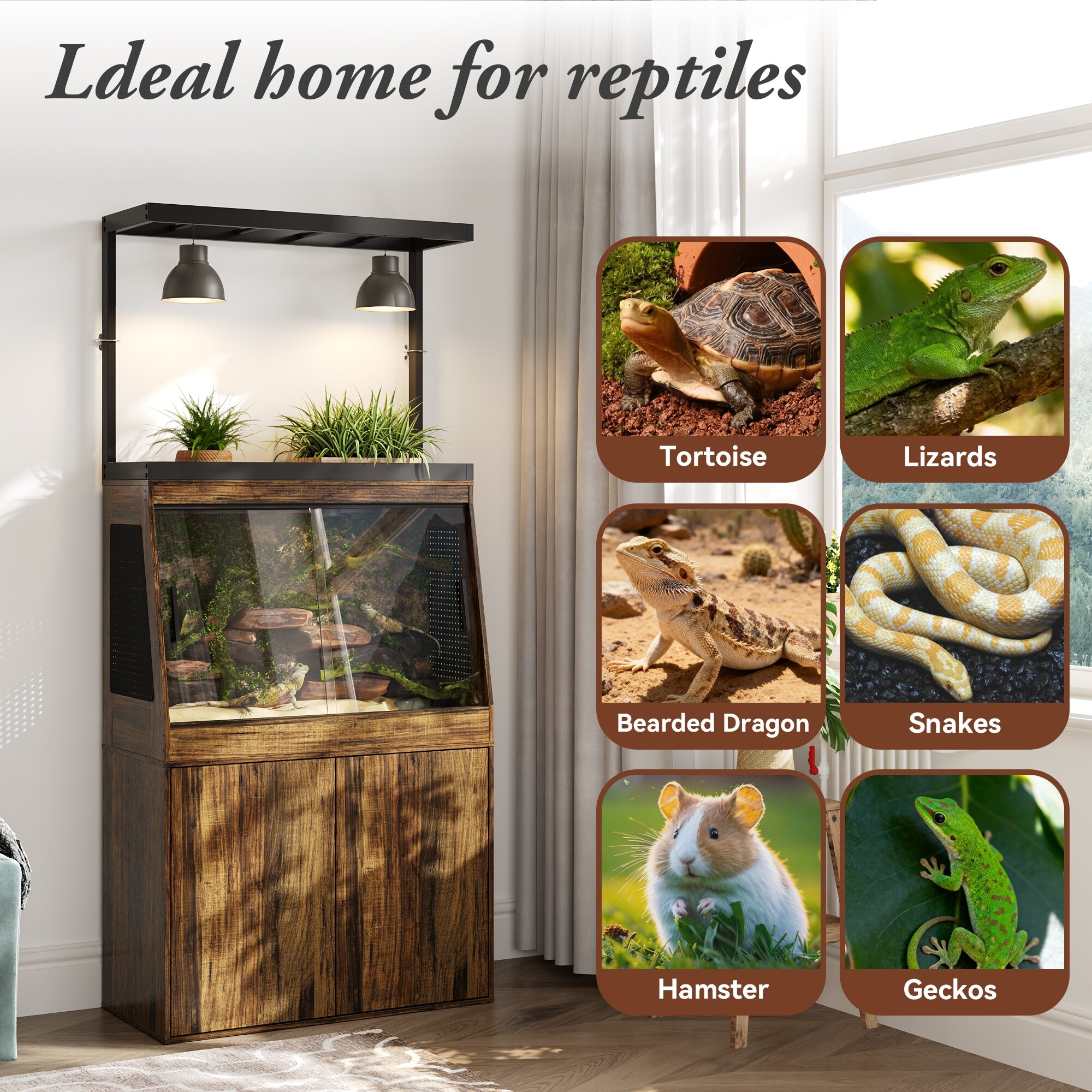 Multi-Functional-Reptile-