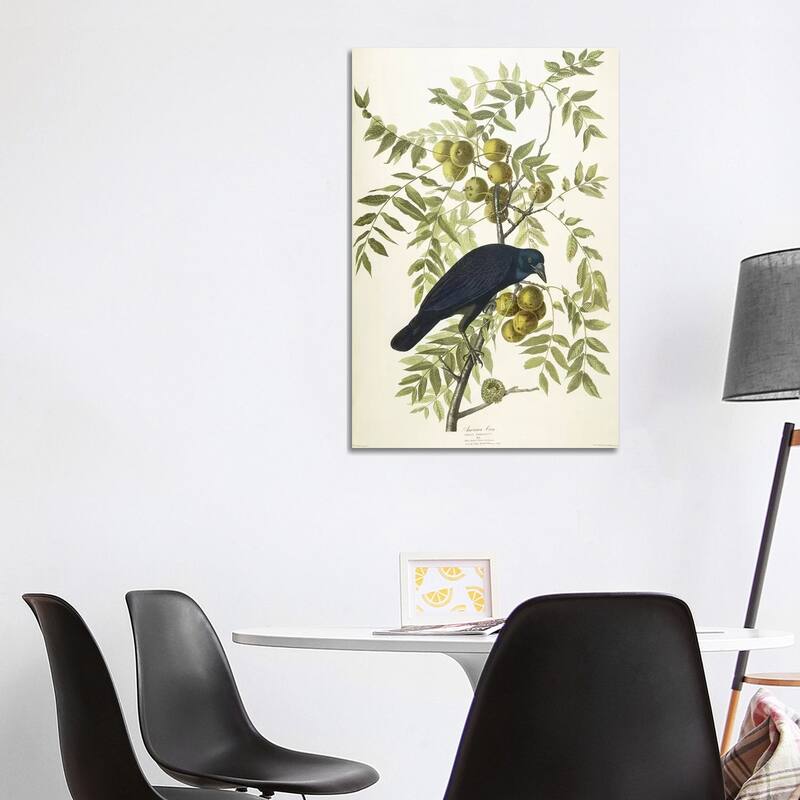iCanvas "American Crow, 1833" by John James Audubon Canvas Print - 40x26x1.5