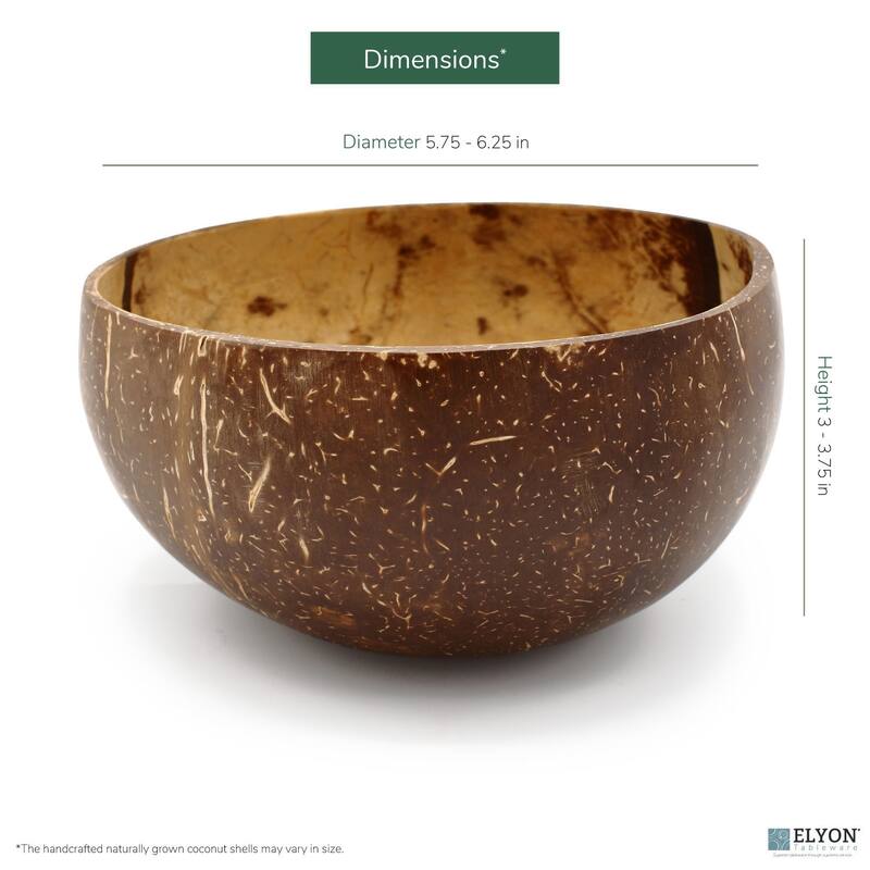 Elyon Jumbo Coconut Shell Bowl Handmade Dinnerware and Flatware Set