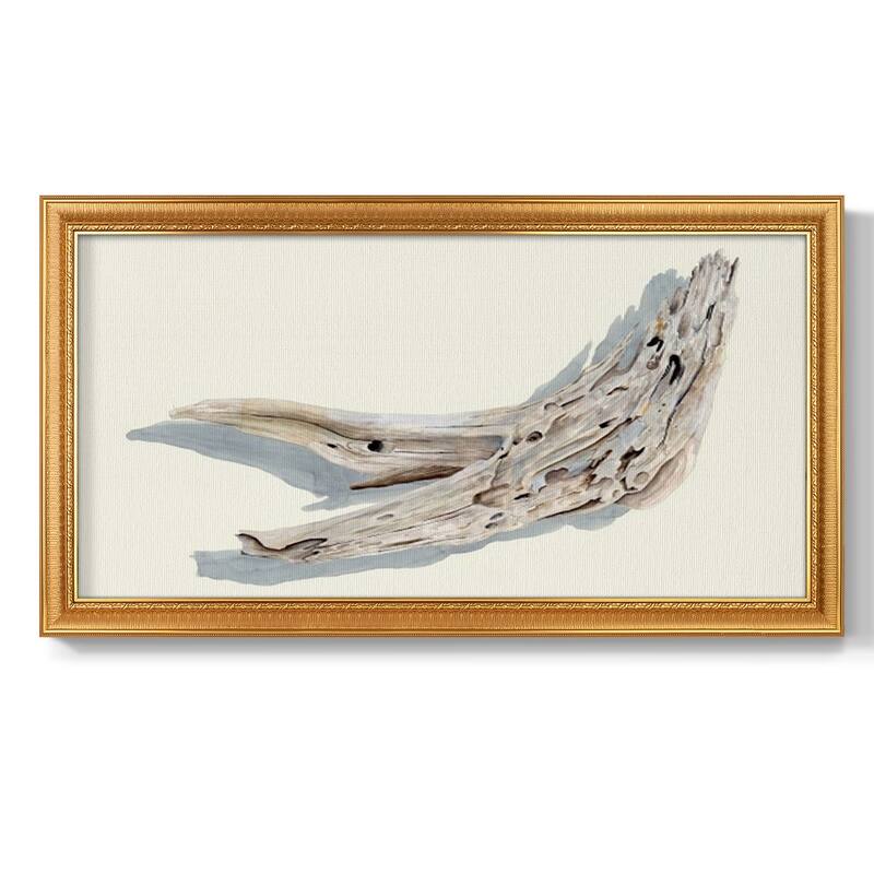 Driftwood Study III Premium Framed Canvas- Ready to Hang