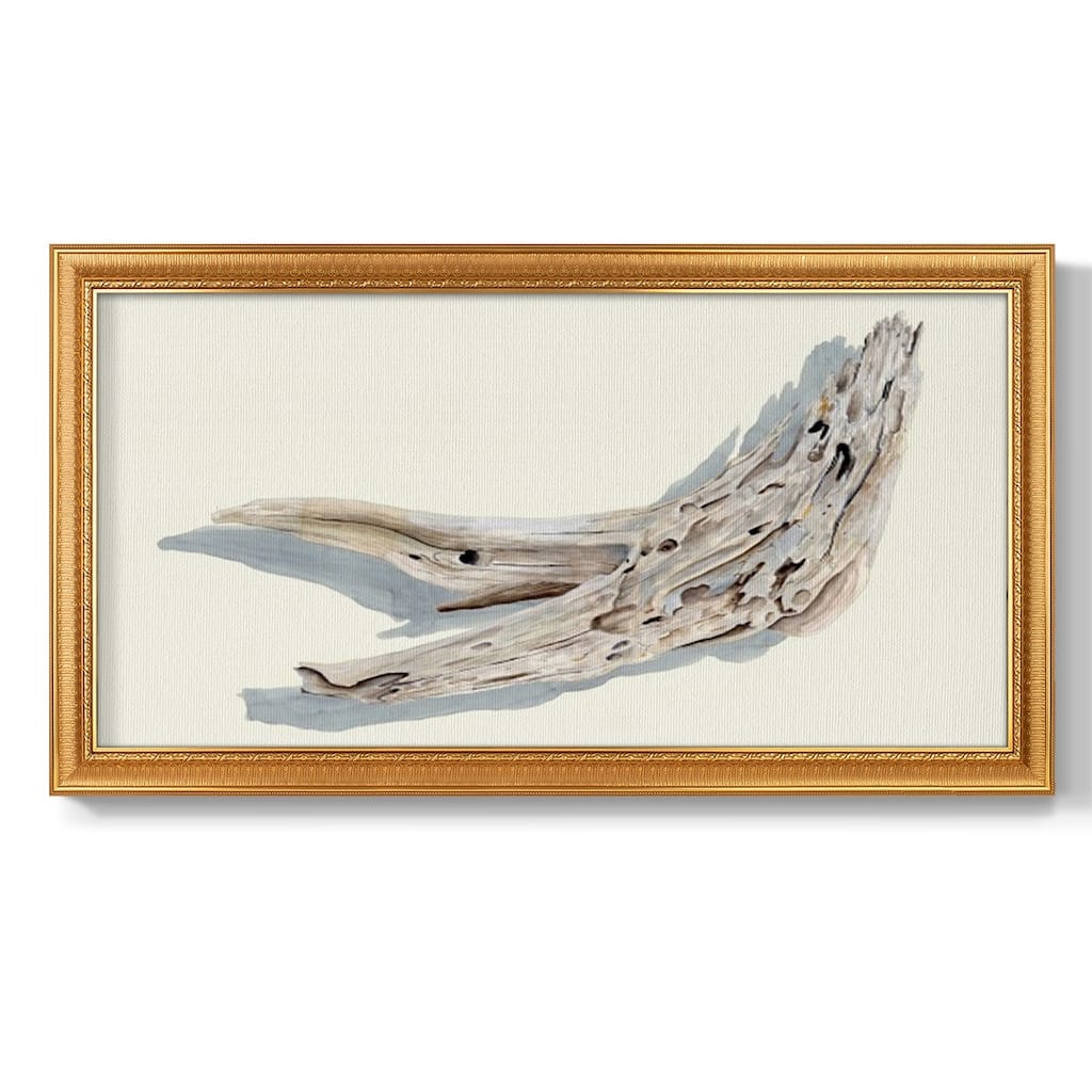 Driftwood Study III Premium Framed Canvas- Ready to Hang