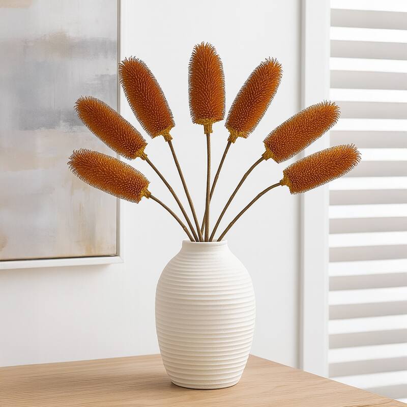 Bundle of 4 Dried Dipsacus Sativus, Teasel,20-24 inch long - 22-24 inch