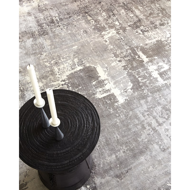 EXQUISITE RUGS Koda Hand-loomed Bamboo Silk Grey/Ivory Area Rug.