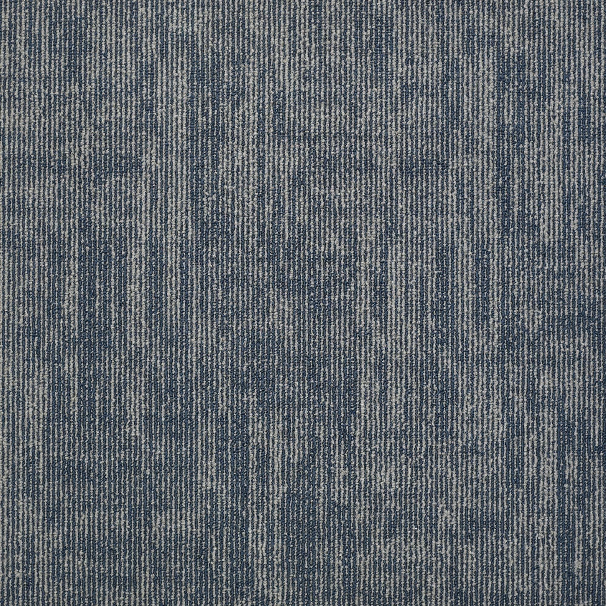 Shaw Philadelphia Commercial Carbon Copy 24" x 24" Glue Down Carpet