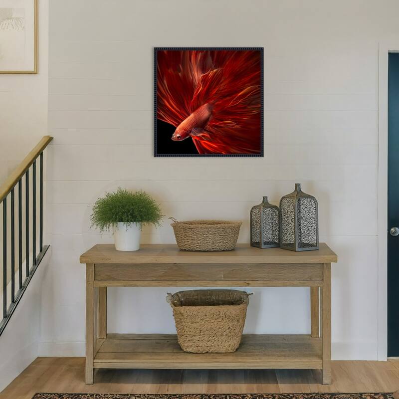 Red Fire Betta fish by Antonyus Bunjamin Framed Canvas Wall Art Print