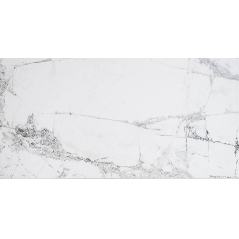 The Tile Life Penthouse 12x24 Porcelain Floor & Wall Tile