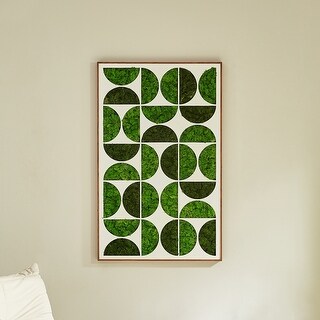 Photo inspiration: Visual Reference: Modern Moss Natural Green Wall Decor Low Maintenance Wall Mounted
