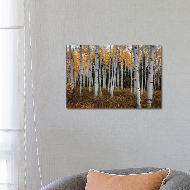 iCanvas "Aspen Forest In Autumn" by Bill Sherrell Canvas Print - 18x26x1.5
