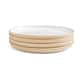 Option Moonstone