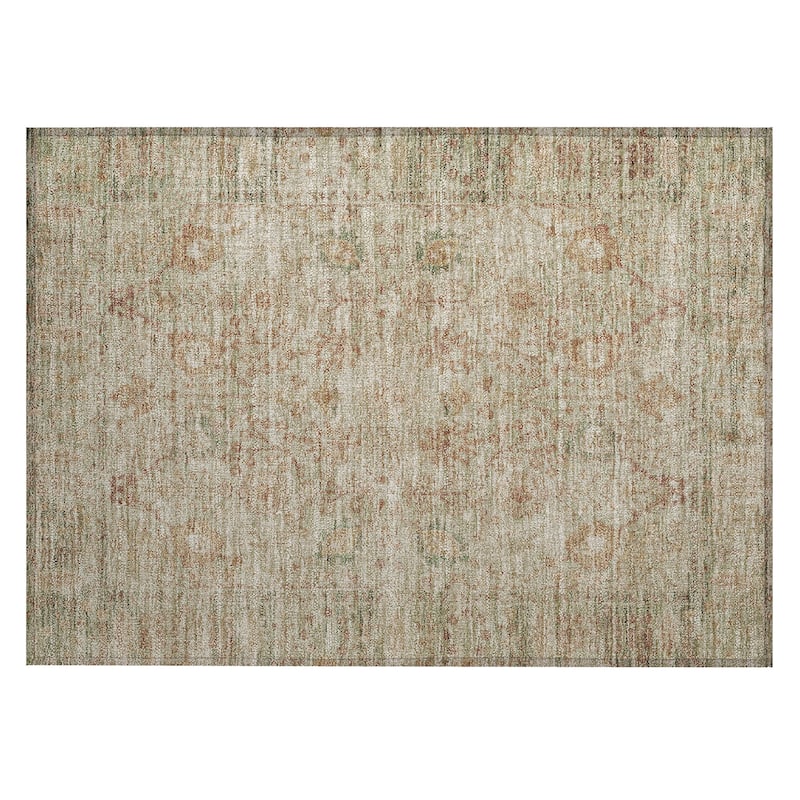 Machine Washable Indoor/ Outdoor Vintage Traditional Chantille Rug