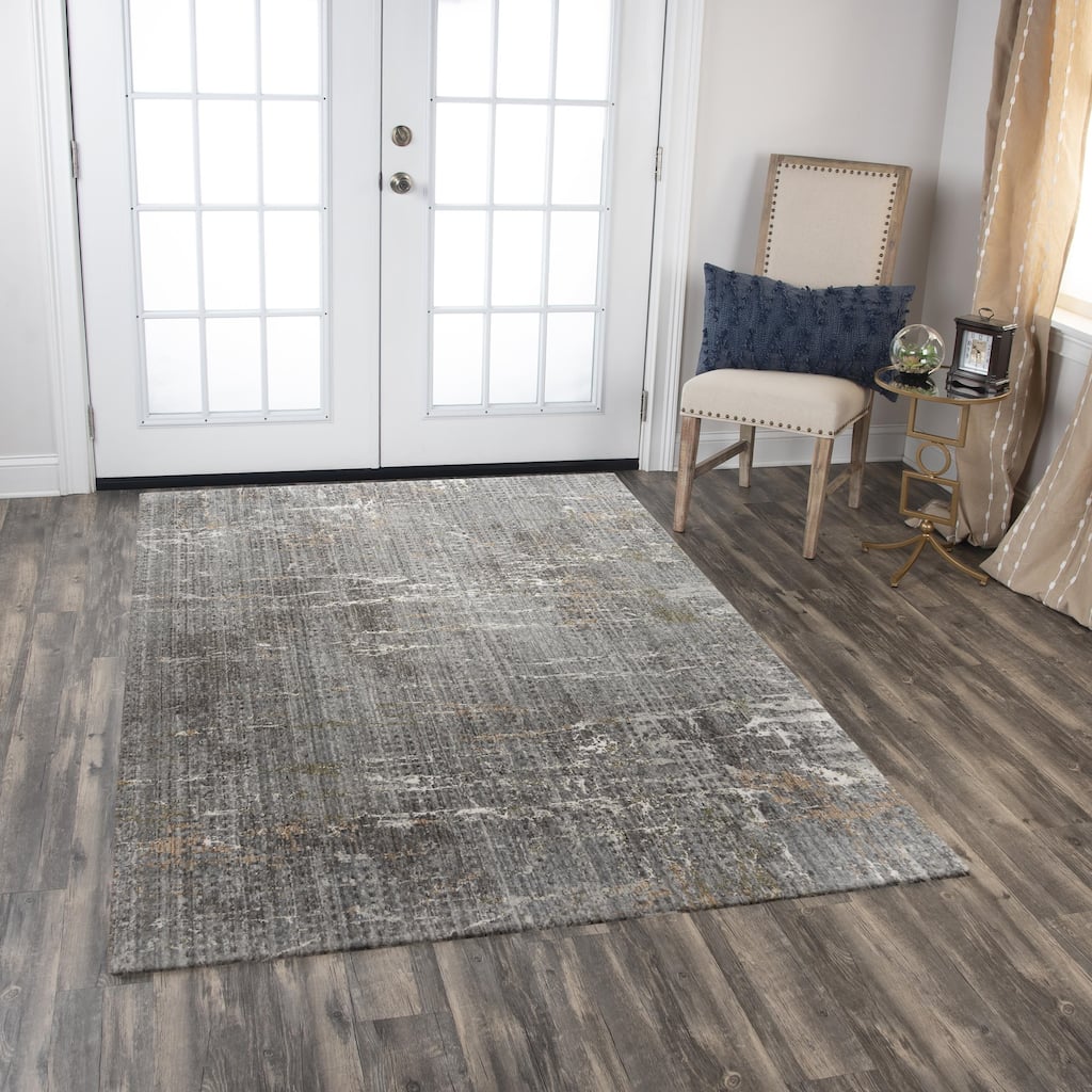 Alora Decor Cara Transitional Gray Recycled Polyester Area Rug
