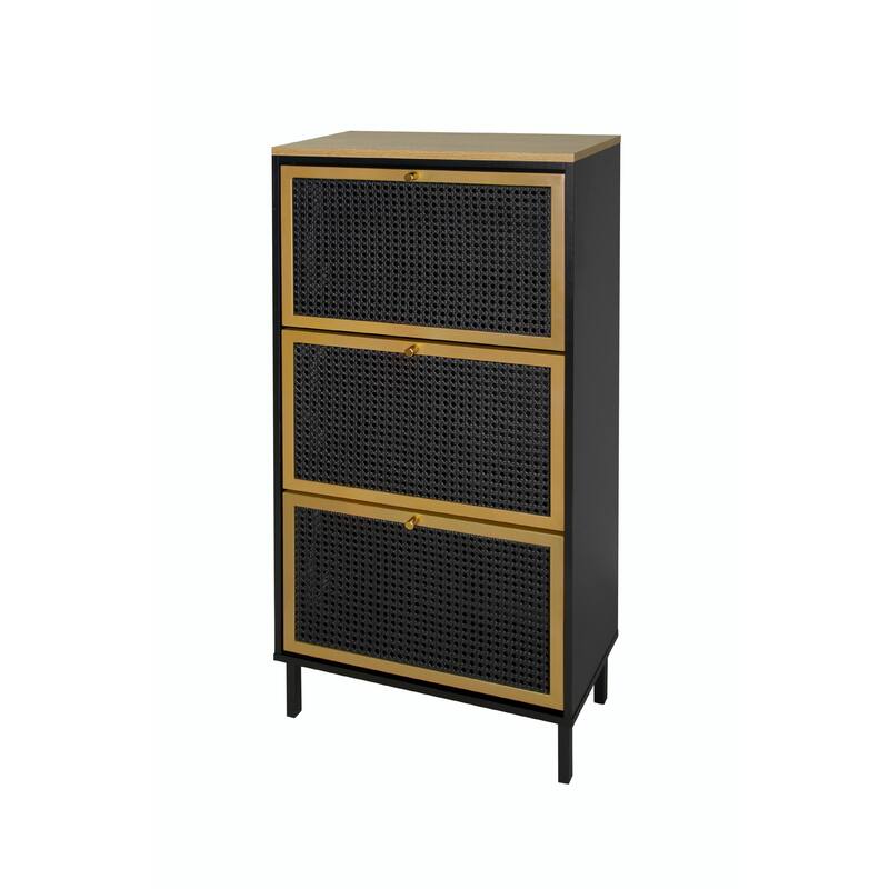 Modern Freestanding Shoe Storage Cabinet with 3 Metal Doors