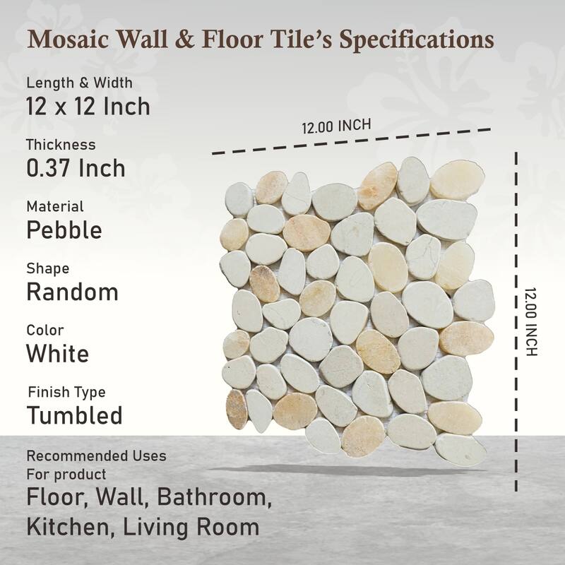 Oyster Sliced Pebble Mosaic, Backsplash Kitchen Walls, Shower and Bathroom Floors 12" X 12" (5 Sqft per case) - Case (5 Tiles)