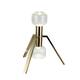 13.58" Height Gold Metal LED Table Lamp With Clear Glass Shade