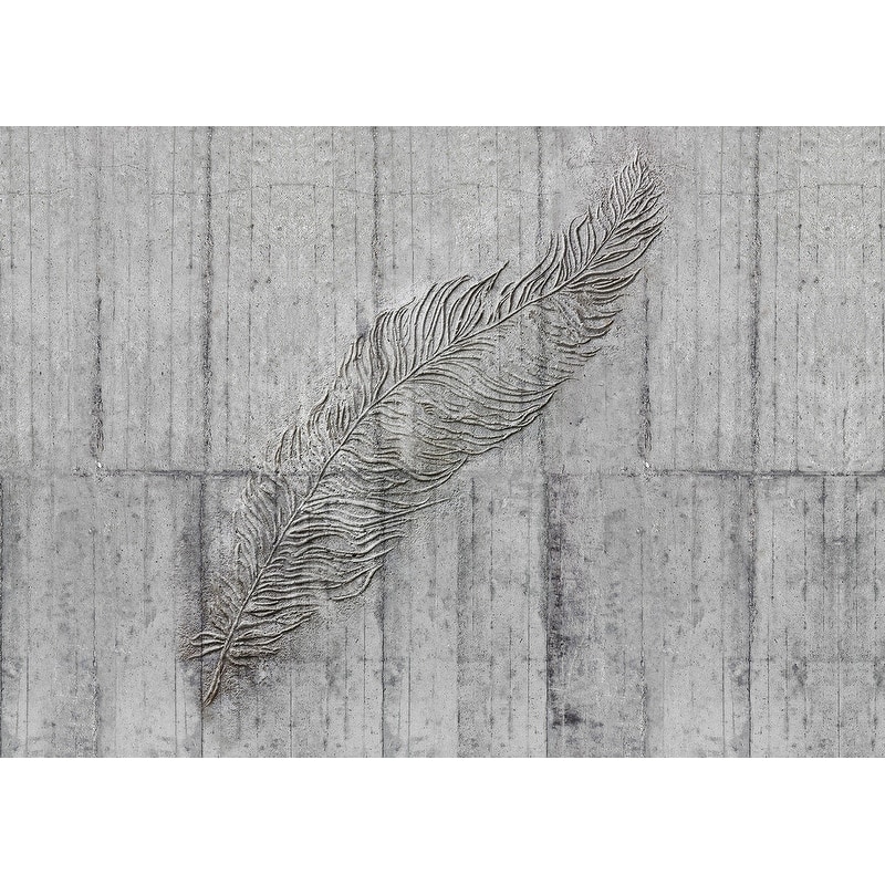 Komar Concrete Feather Wall Mural