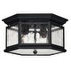 preview thumbnail 1 of 3, Hinkley Lighting 2 Light Outdoor Flush Mount Ceiling Fixture from the Black