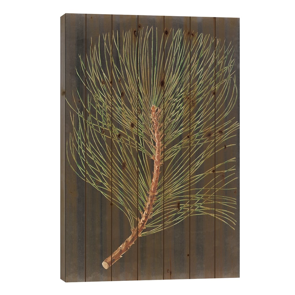 Dramatic Pine III Print On Wood by Vision Studio - Multi-Color