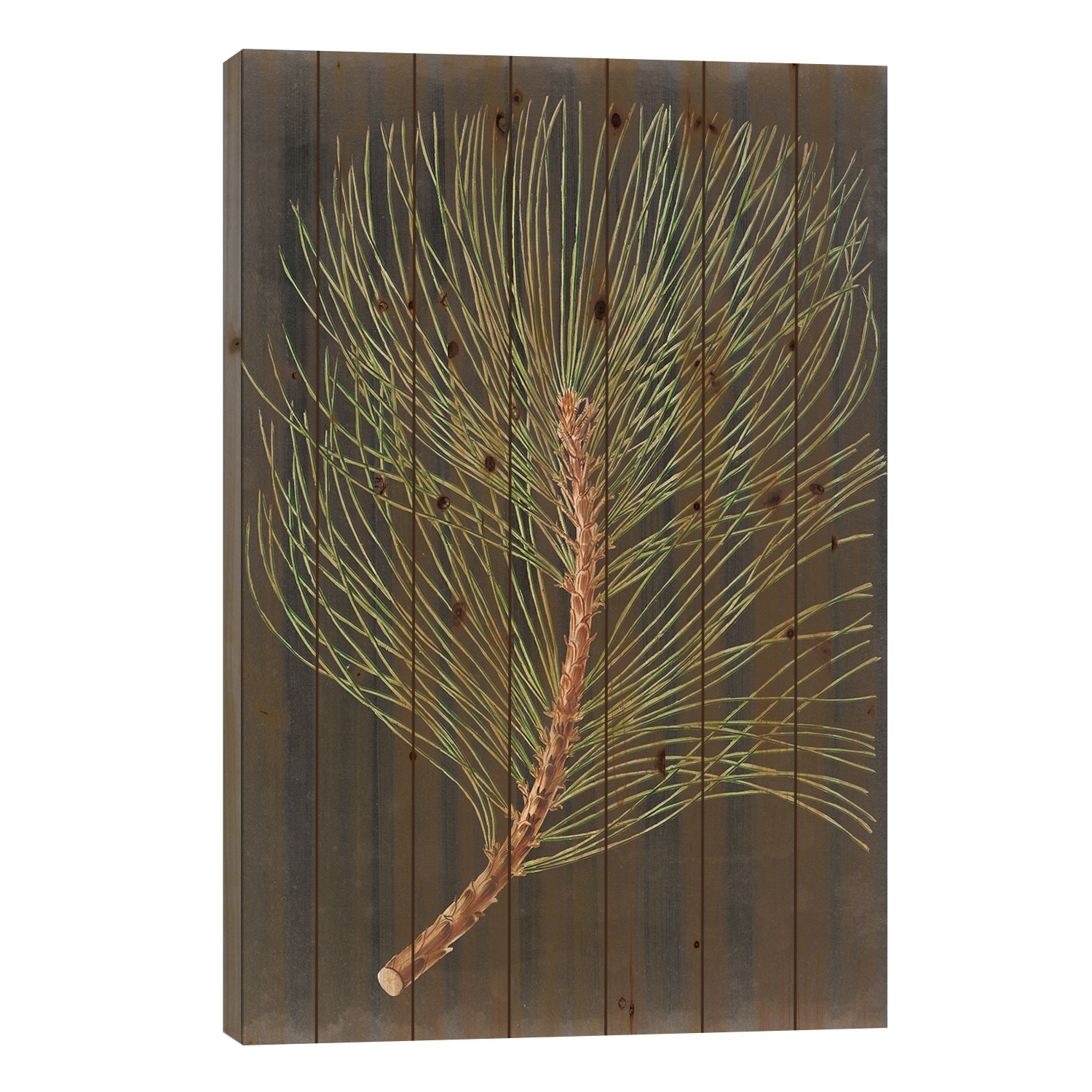 Dramatic Pine III Print On Wood by Vision Studio - Multi-Color