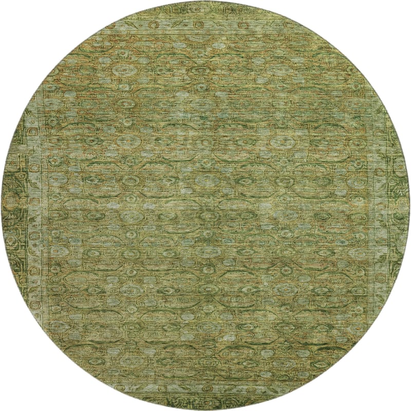 Premium Washable Super Soft Vintage Traditional Mayfield Rug