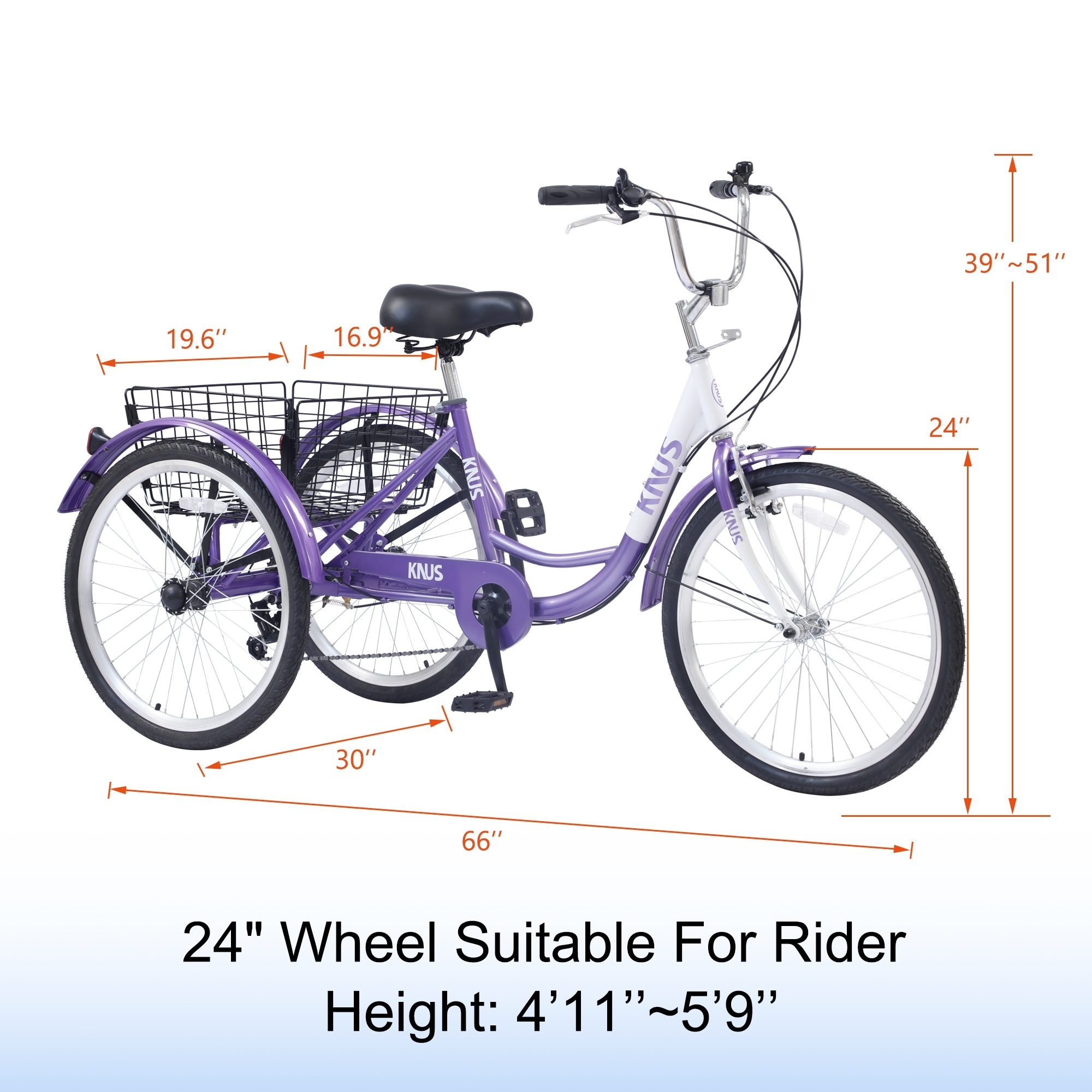 24 inch 3 wheel bike best sale