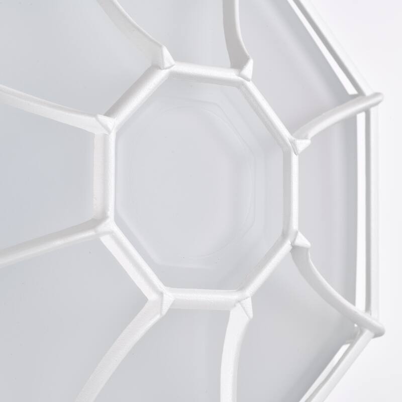 LED Spider Cage Fixture White Finish with Frosted Glass