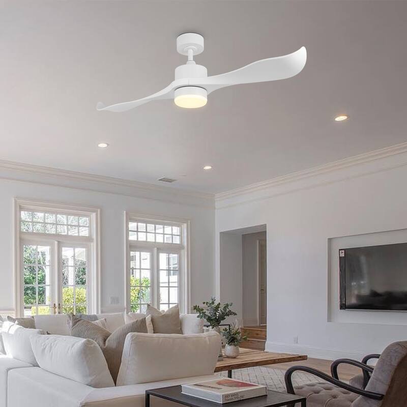WINGBO 52 inch 2 Blades Modern Ceiling Fan with Lights and Remote - N/A