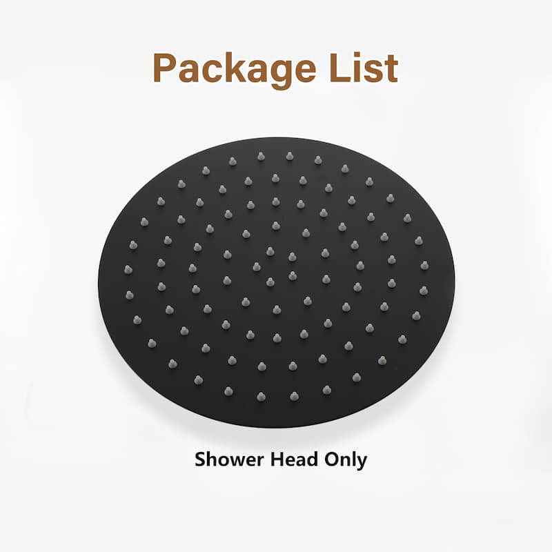 1-Spray Pattern with 2.5 GPM Round Ceiling Mount Rain Fixed Shower Head