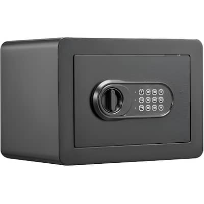 Black Cold-Rolled Carbon Steel Safe with Dual Lock, Alarm and Removable Shelf