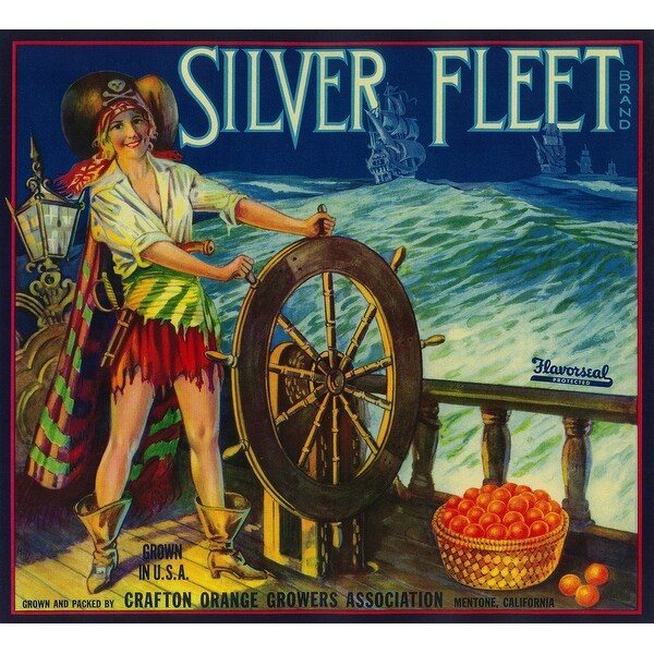 Silver Fleet Pirate Orange Label Art Print Multiple Sizes Available 9 X 12 Art Print Overstock 27907551