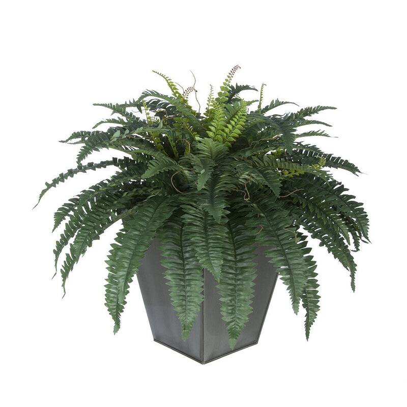 Faux Fern in Square Zinc Planter