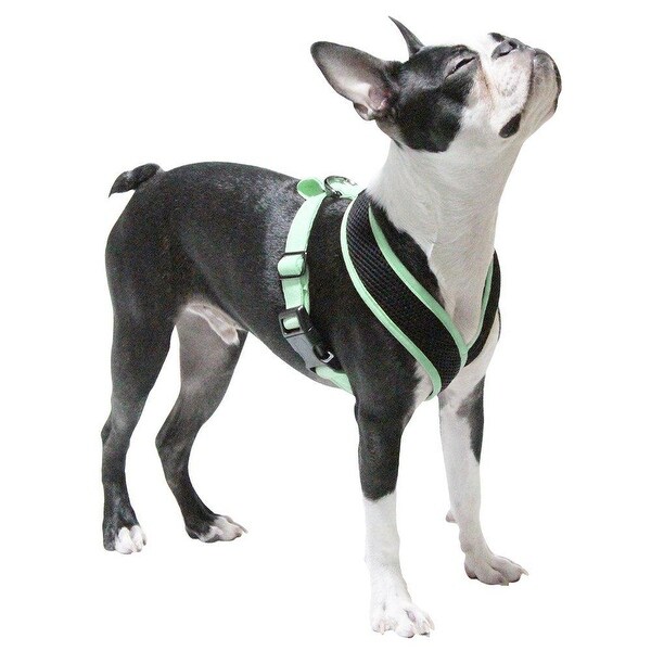 mint dog harness