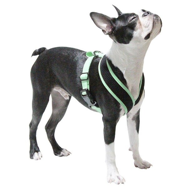 gooby dog harness