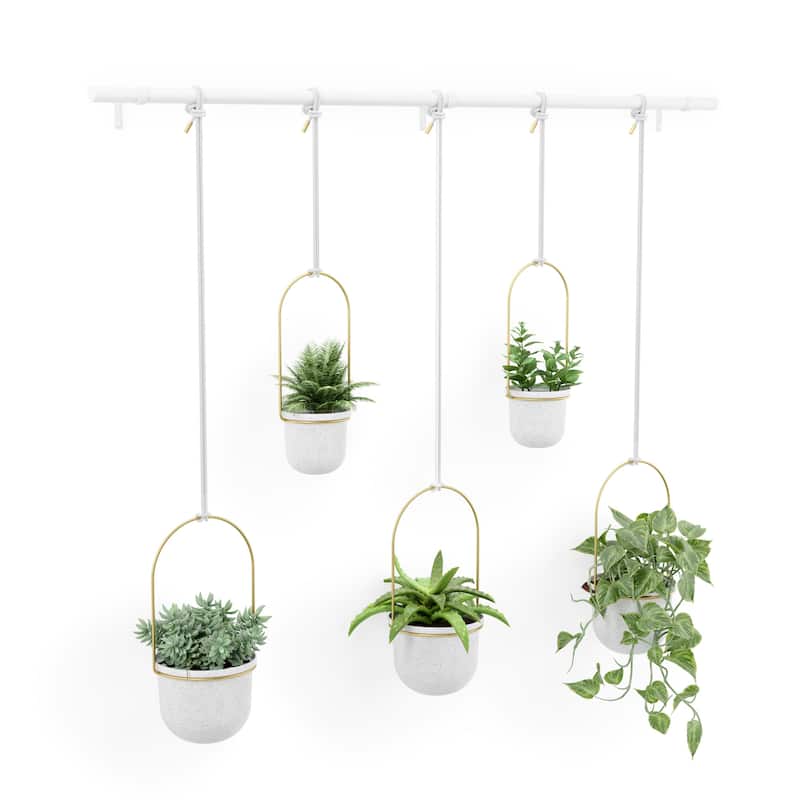 Umbra 1018086 Triflora 7-1/4" Wide Steel Hanging Planters