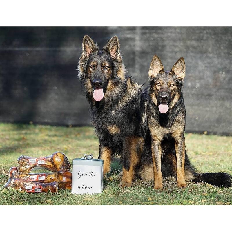 Amici Pet Marley Treats Storage Canister with Bone Design Lid - 96 oz